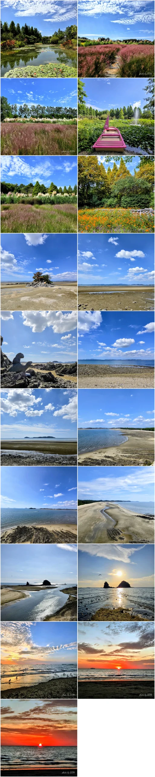 충남 태안 청산수목원